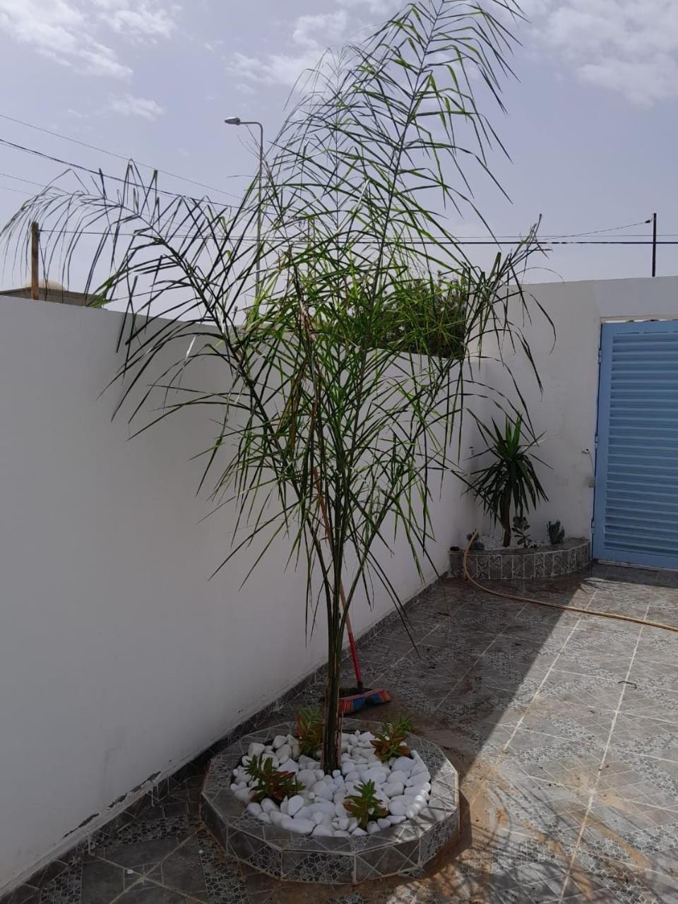 Studio Rouge Cosy A Dar Lili Djerba Mezraia Exterior photo